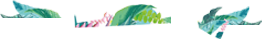 74.jpg